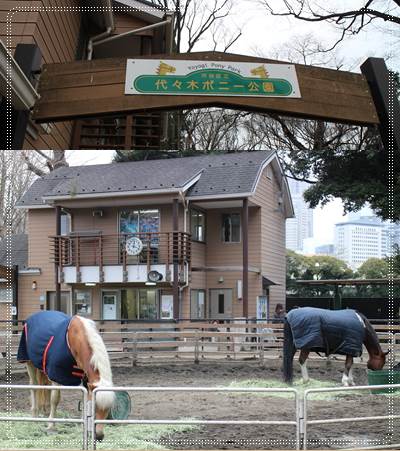 渋谷区立代々木ポニー公園