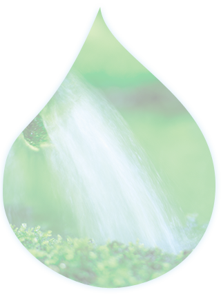 水玉1