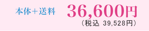 本体+送料　36,660円（税込39,528円）